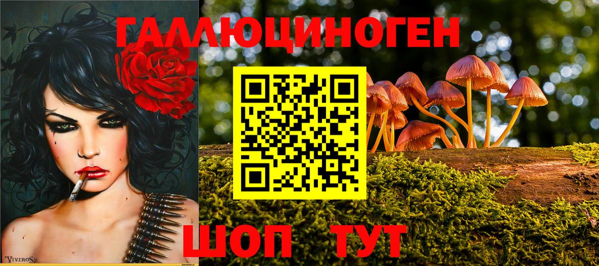 Галлюциногенные грибы MAGIC MUSHROOMS Петровск