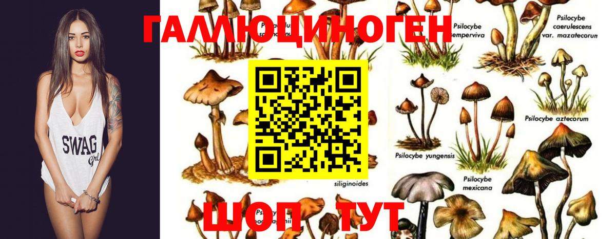Галлюциногенные грибы мухоморы  Вход с VPN  Петровск 